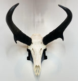 NEW!!!!! CORNER Dead On Display Wall Bracket - Dead On Display