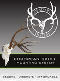 MEDIUM Dead On Display European Mount Hanger | Skull Bracket - Dead On Display
