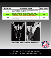 MEDIUM European Mount Hanger | Skull Bracket