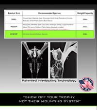 DESKTOP  Dead On Display European Skull Mount Bracket