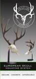 DESKTOP  Dead On Display European Skull Mount Bracket