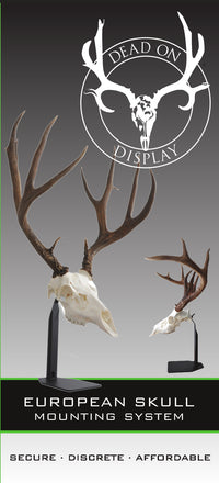 DESKTOP  Dead On Display European Skull Mount Bracket