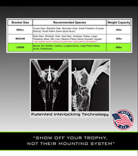 Large European skull hanger installation instructions with size comparison chart for elk moose and large deer