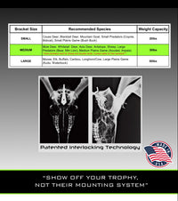 Medium European skull hanger installation instructions with size comparison chart for standard deer and elk mounts