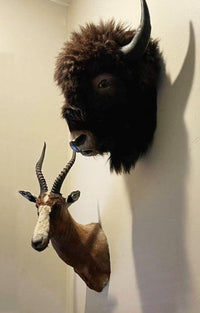 Shoulder Mount Wall Bracket - Dead On Display