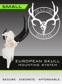 SMALL European Mount Hanger | Skull Bracket