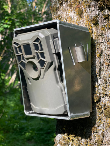 DEAD ON DISPLAY Trail Camera Security Box