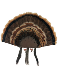 NEW! Dead On Display Lock in Turkey Fan
