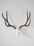 Dead On Display Angle Bracket Adapter- European Skull Hanger mounting system, European Deer mount