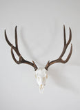 Dead On Display Angle Bracket Adapter- European Skull Hanger mounting system, European Deer mount
