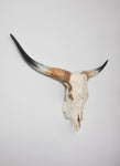 LARGE Dead On Display European Mount Hanger | Skull Bracket