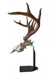 Dead on Display Desktop Mount - European Skull Hanger Mounting System, deer skull hanger