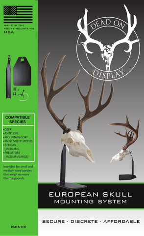 thumbnail image 2 of European Deer Skull Hanger Mount Kit Whitetail Mule Sized 2 of 9