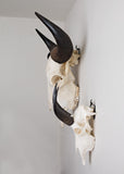 Large Dead on Display European Skull Hanger Mounting System, Elk skull hanger, Euro Moose hanger, buffalo skull hanger