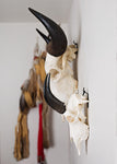 SMALL Dead on Display European Mount Hanger | Skull Bracket - Dead On Display