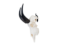 SMALL Dead on Display European Mount Hanger | Skull Bracket - Dead On Display