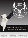 SMALL Dead on Display European Mount Hanger | Skull Bracket - Dead On Display