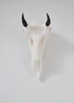 SMALL Dead on Display European Mount Hanger | Skull Bracket - Dead On Display