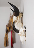 Small Dead on Display European Skull Hanger Mounting System, Deer skull hanger, Euro hanger